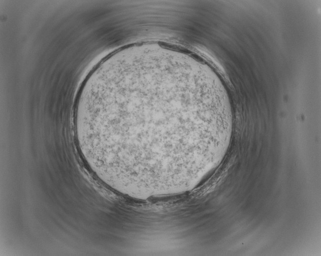 X0000069380948200606091647