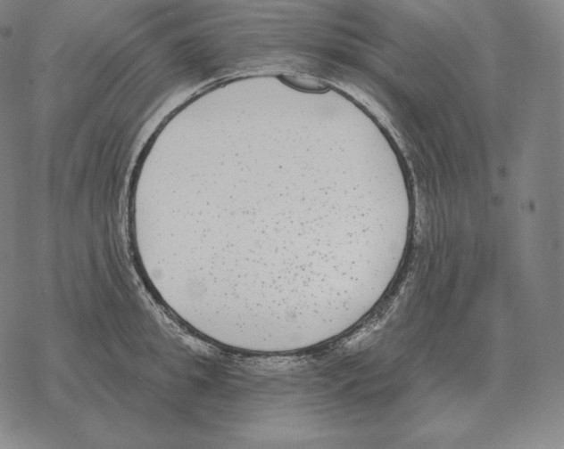 X0000069380949200606091647