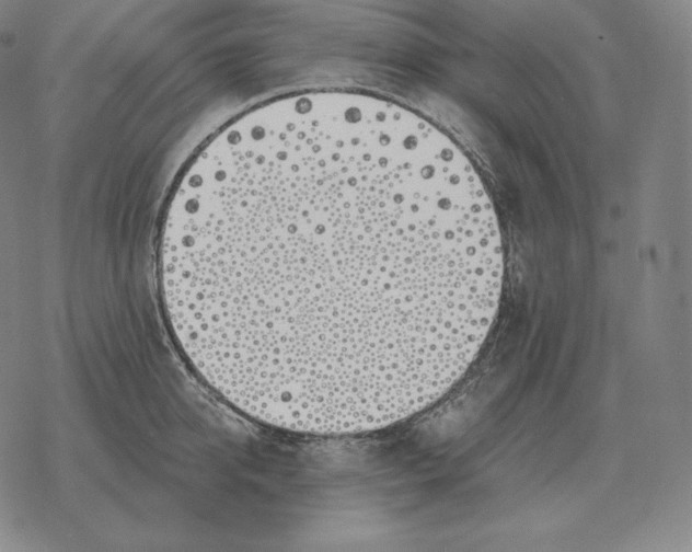 X0000069380950200606091647