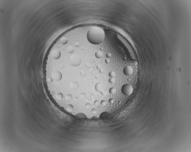 X0000069380951200606091648