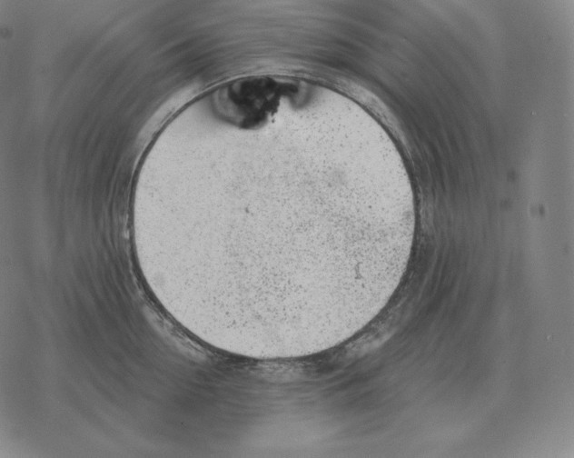 X0000069380954200606091648