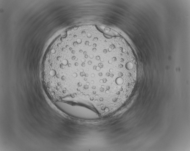 X0000069380957200606091648