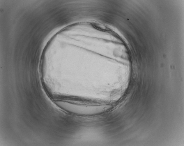 X0000069380959200606091648