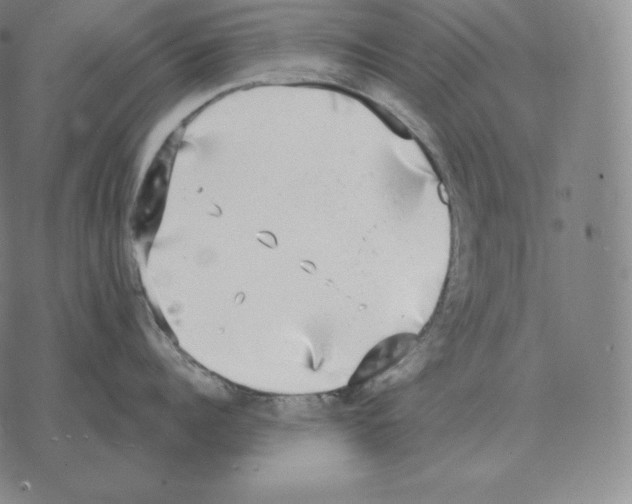 X0000069380960200606091648