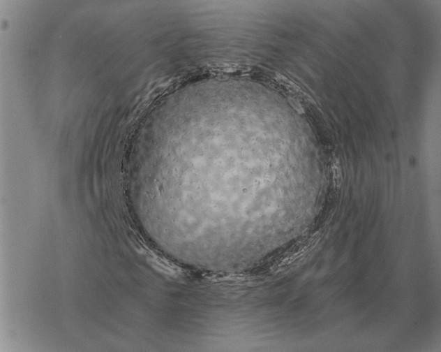 X0000069380961200606091647