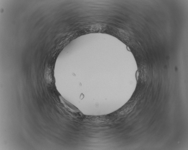 X0000069380962200606091647