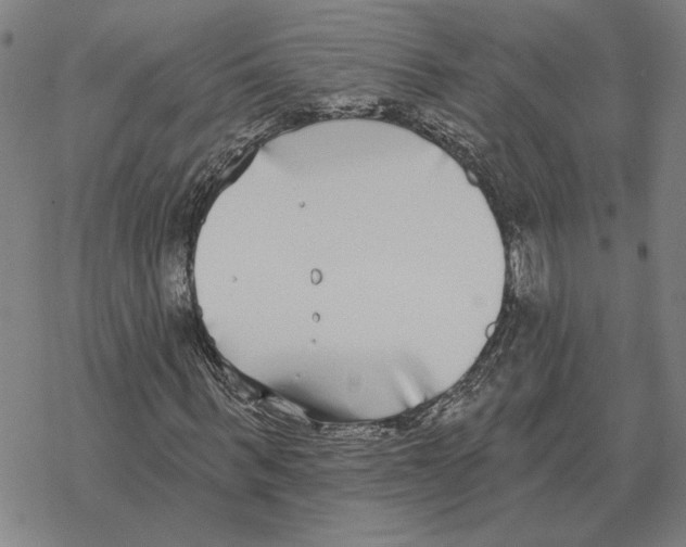 X0000069380963200606091647