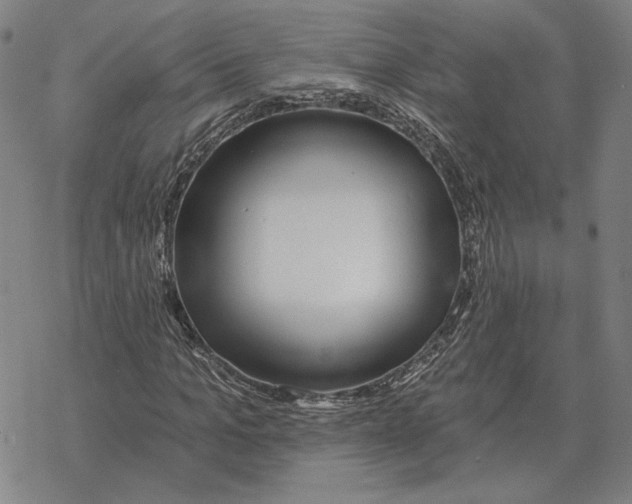 X0000069380965200606091647