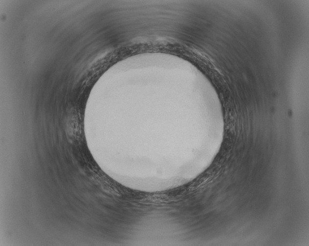 X0000069380966200606091647