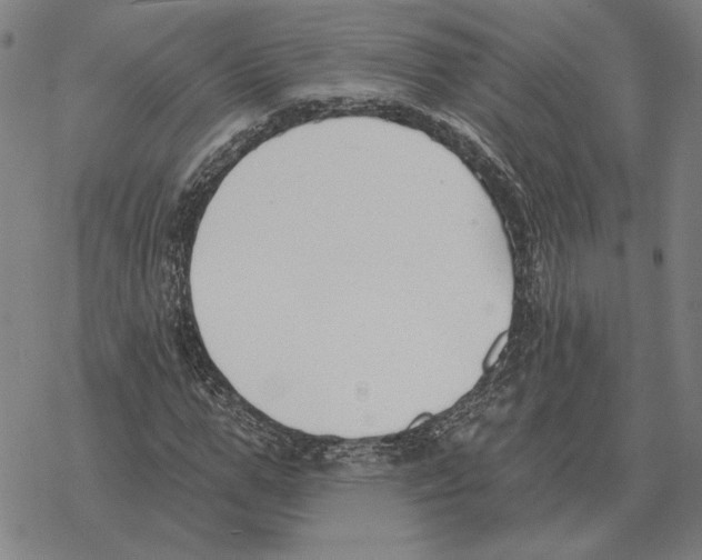 X0000069380967200606091647