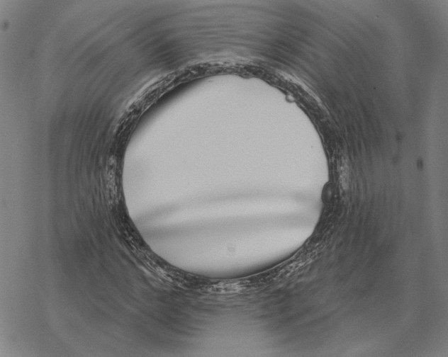 X0000069380968200606091647