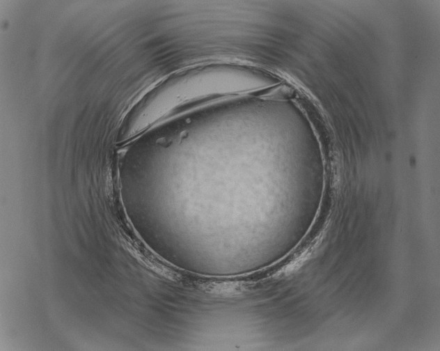 X0000069380969200606091647