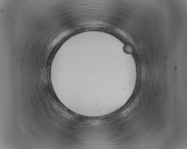 X0000069380970200606091647