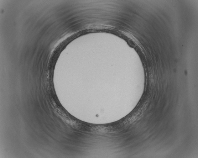 X0000069380971200606091647