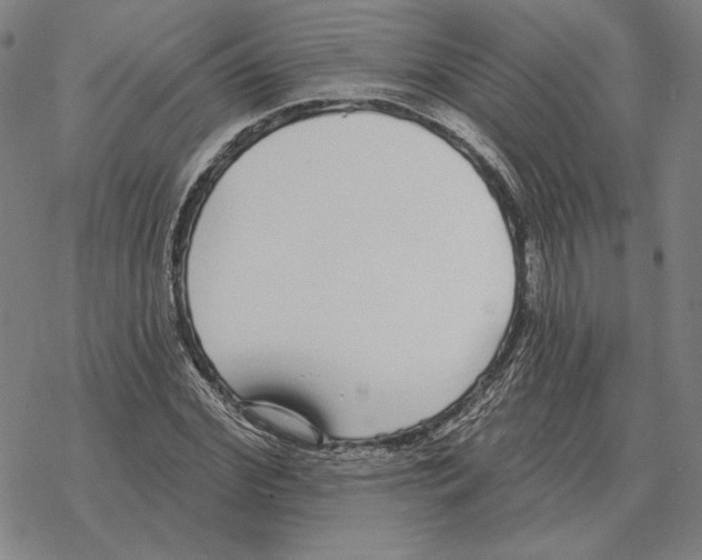 X0000069380972200606091647