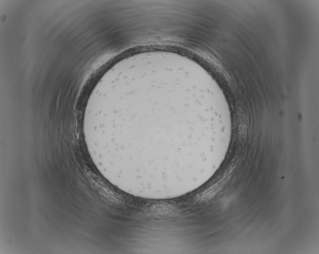 X0000069380974200606091647