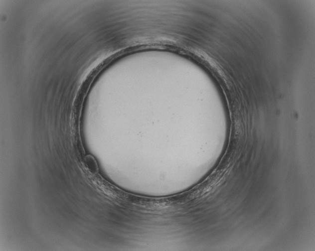 X0000069380975200606091647