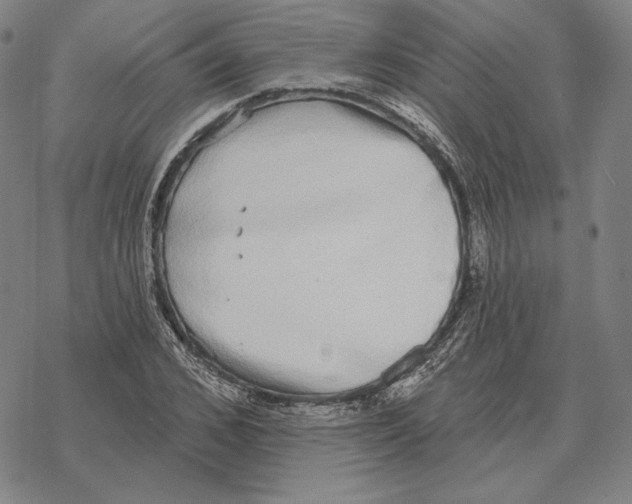 X0000069380976200606091647