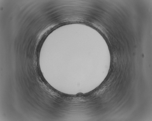 X0000069380979200606091647