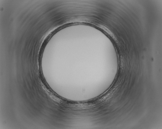 X0000069380980200606091647