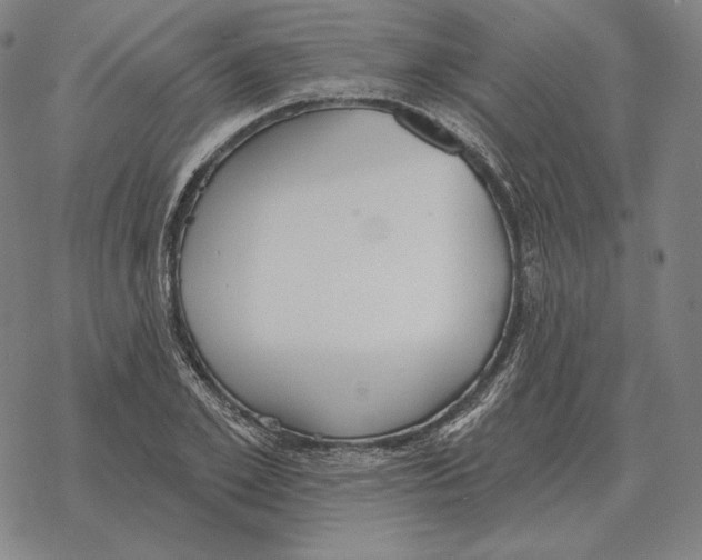 X0000069380981200606091647