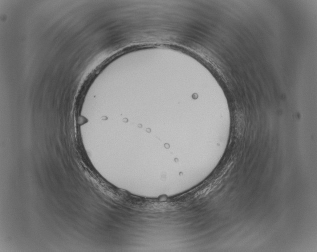 X0000069380982200606091647