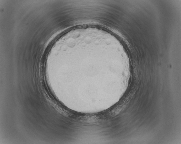 X0000069380983200606091647