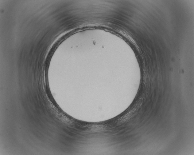 X0000069380984200606091647