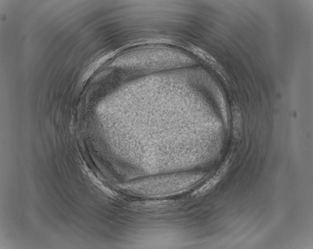 X0000069380985200606091646