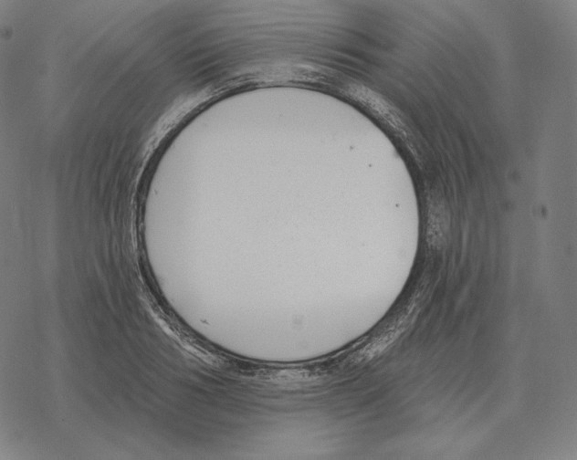 X0000069380986200606091646