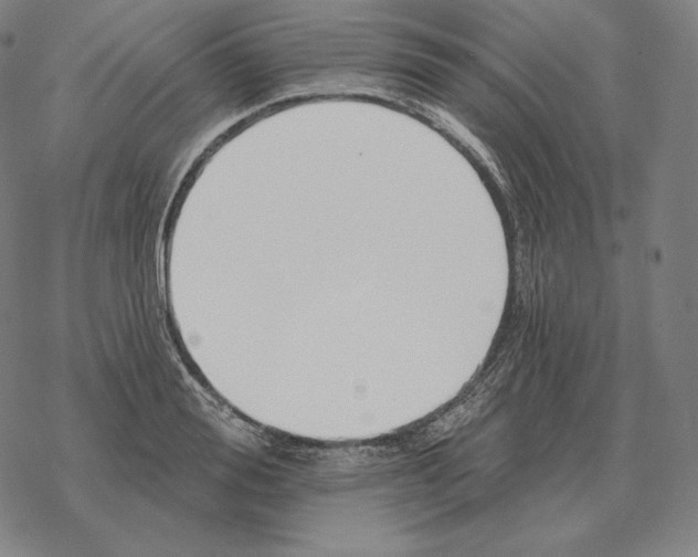 X0000069380988200606091646