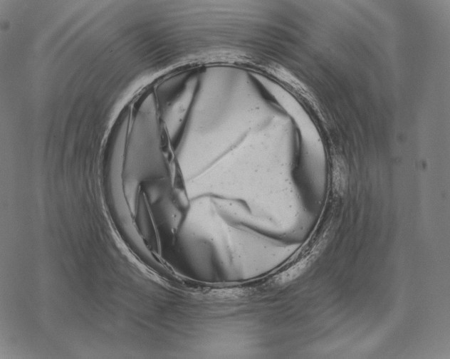 X0000069380989200606091646