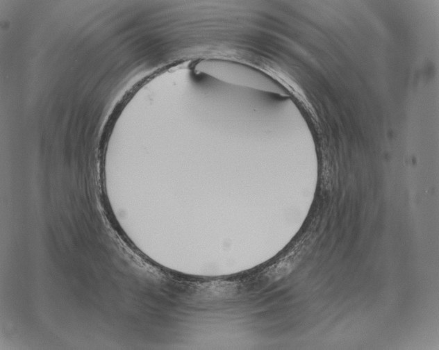 X0000069380992200606091646