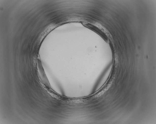 X0000069380993200606091646