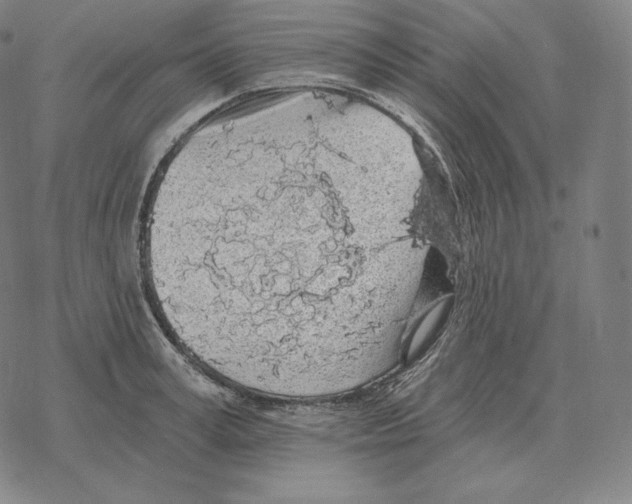 X0000069380995200606091646