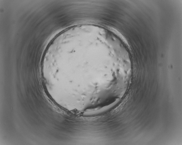 X0000069380996200606091646