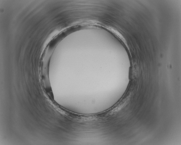 X0000069380997200606091646