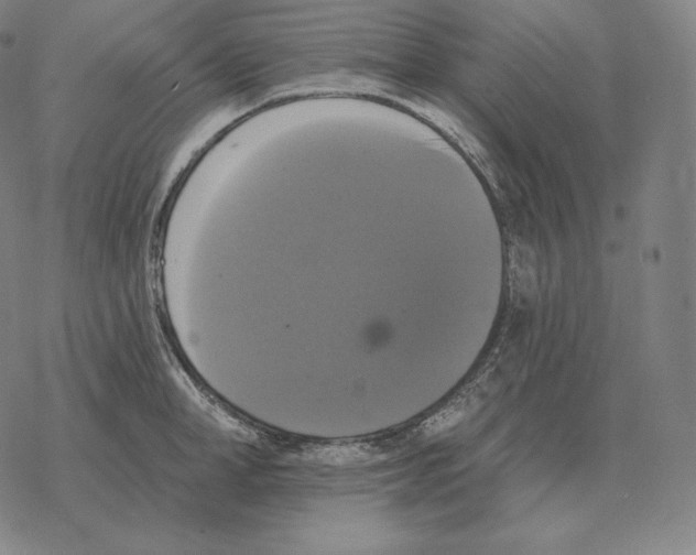 X0000069380998200606091646