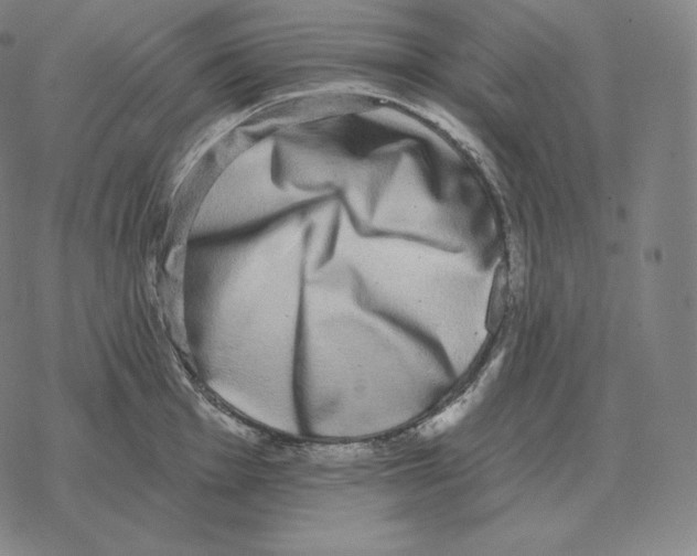 X0000069381001200606091646