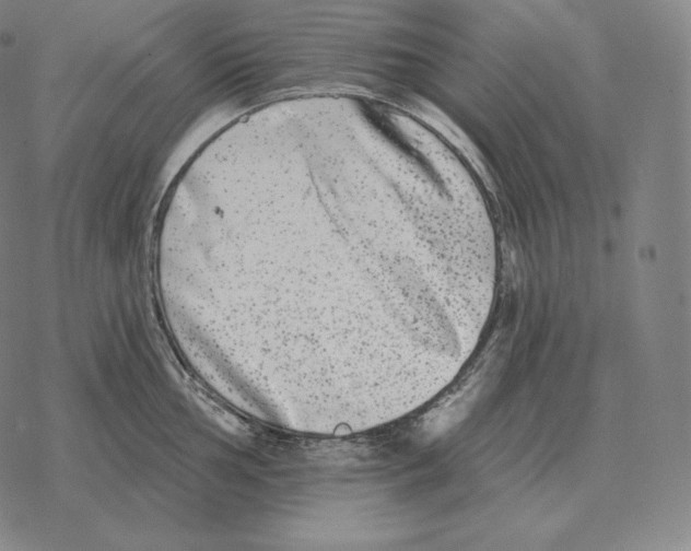 X0000069381002200606091646