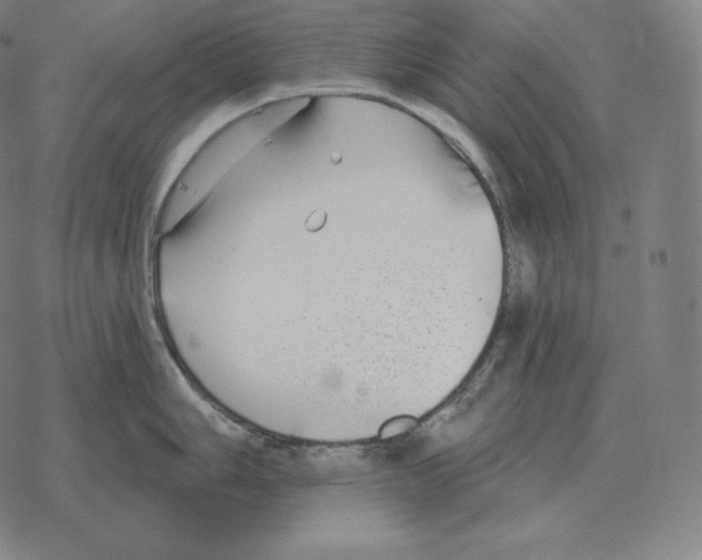 X0000069381006200606091646