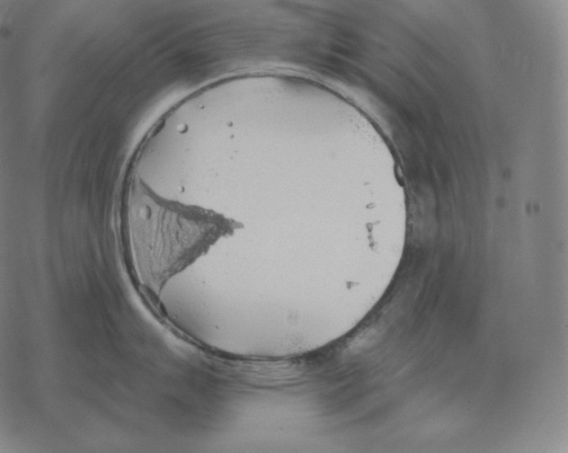 X0000069381007200606091646