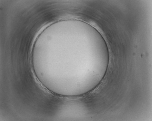 X0000069381008200606091646