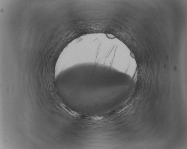 X0000069381009200606091645