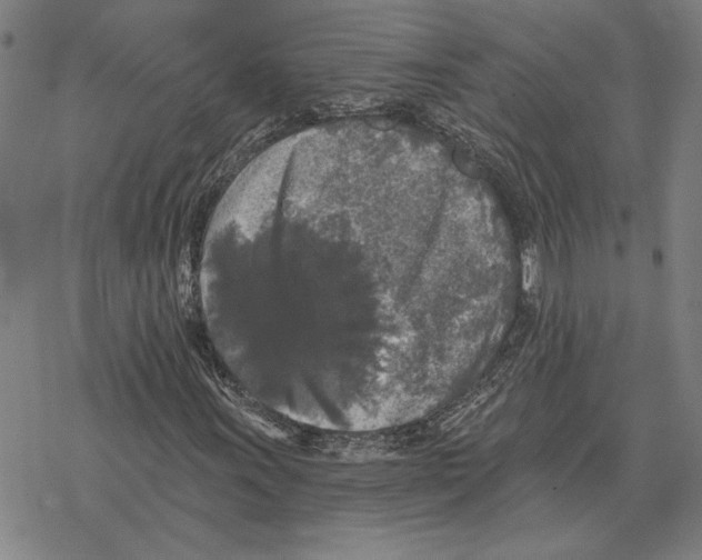 X0000069381011200606091645