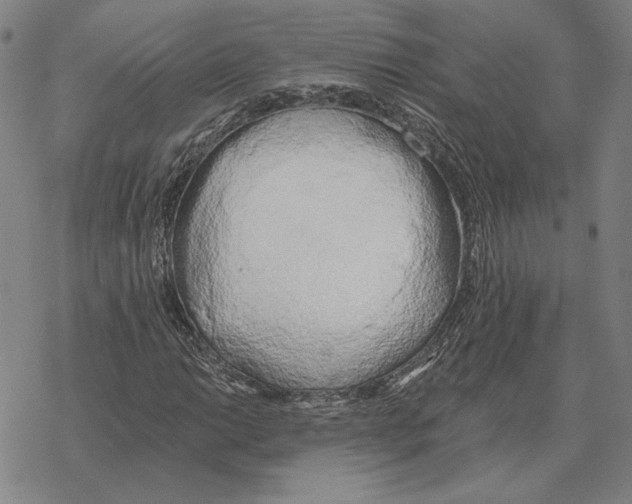 X0000069381014200606091645