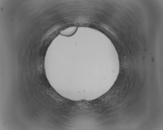 X0000069381015200606091645