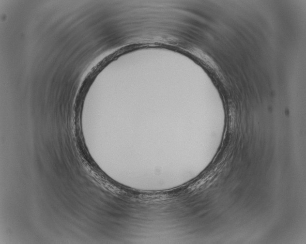 X0000069381020200606091645