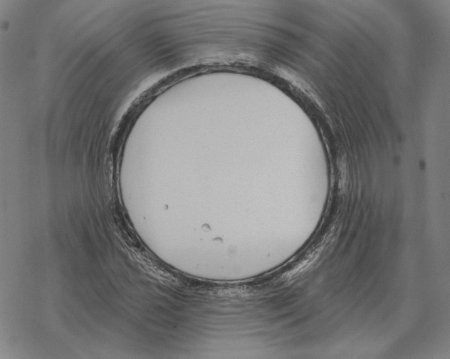 X0000069381021200606091646