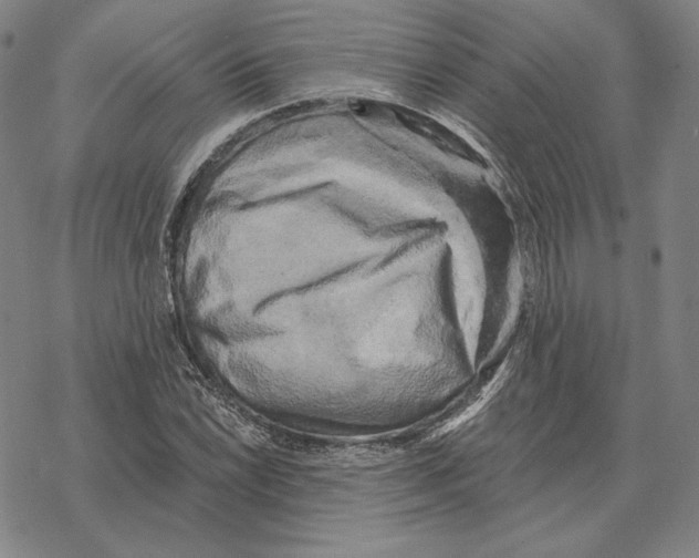 X0000069381022200606091646